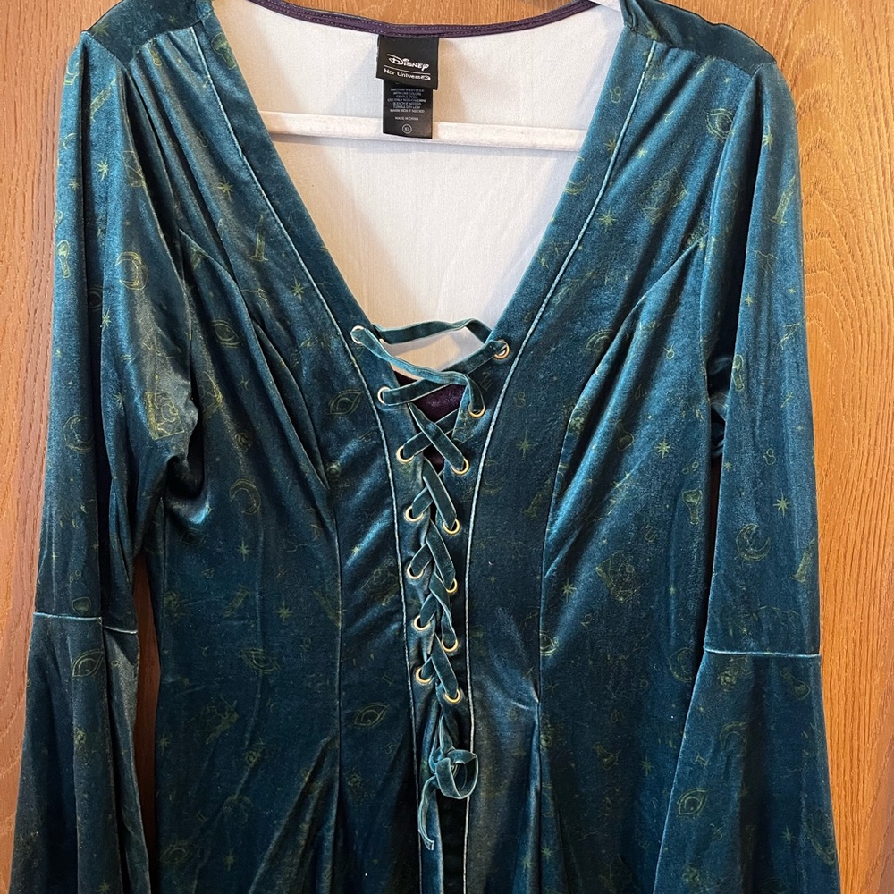 Her Universe Disney Hocus Pocus “Winnie” Green Velvet Top XL